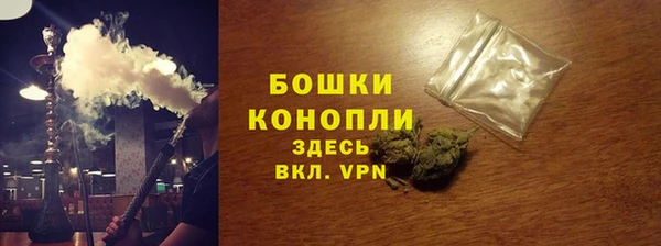 крисы Елабуга