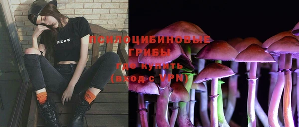 хмурый Елизово