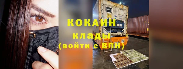 крисы Елабуга