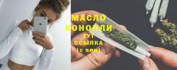крисы Елабуга