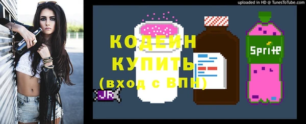 хмурый Елизово