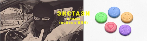 крисы Елабуга