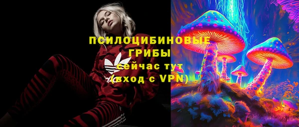 хмурый Елизово