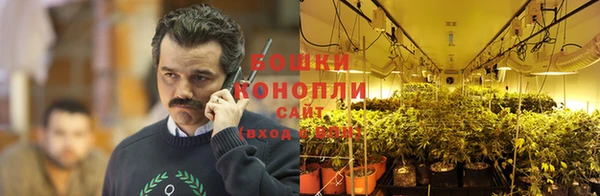 крисы Елабуга